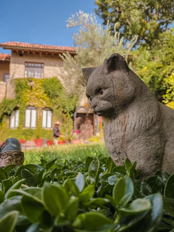 Bed and Breakfast Casa Liza San Miguel de Allende Zewnętrze zdjęcie